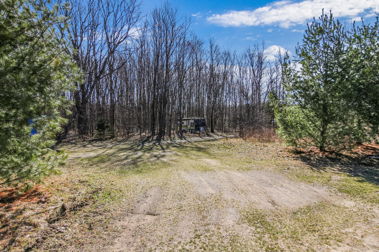14269 Litzen Road Copemish, MI 49625 - Photo 41 of 44 39-Scene-39