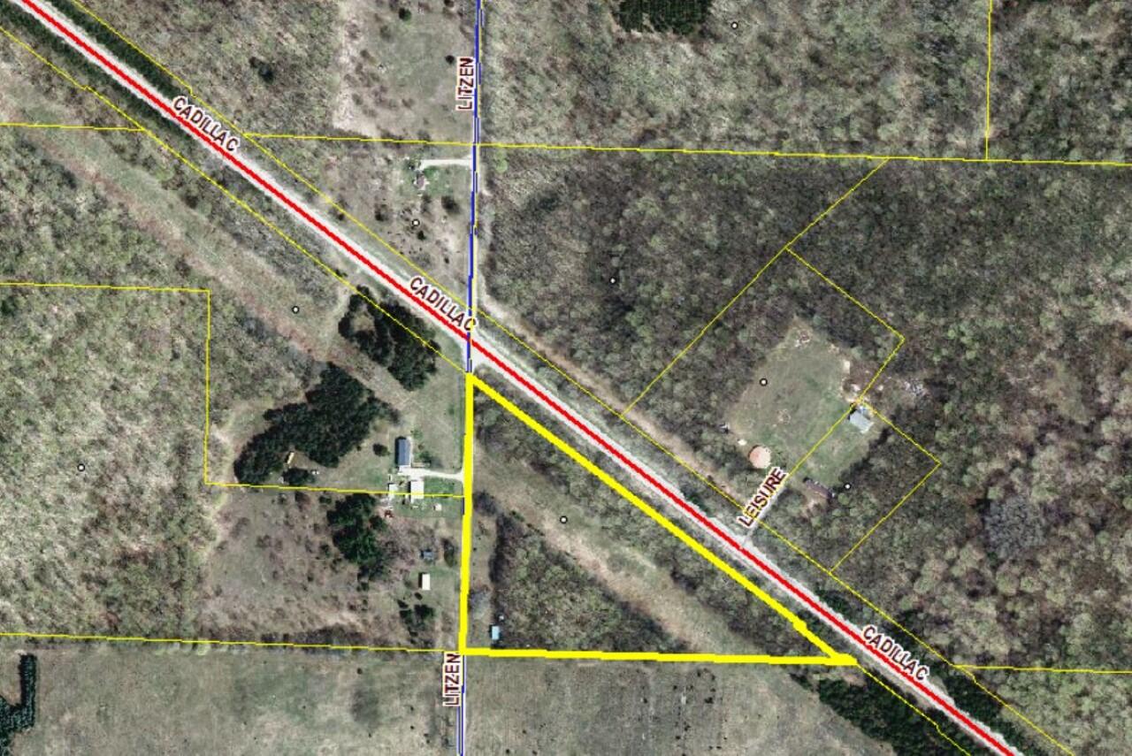 14269 Litzen Road Copemish, MI 49625 - Photo 44 of 44 Aerial (Custom)
