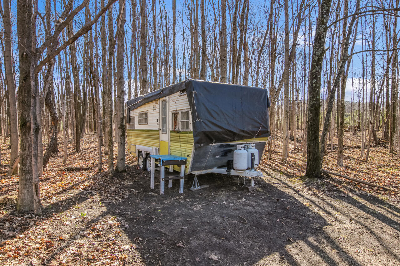 14269 Litzen Road Copemish, MI 49625 - Photo 5 of 44 27-Scene-27