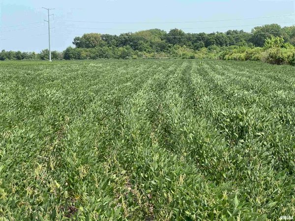 $1,291,500 | 0 Sandy Bend Road, Frederick, IL 62639