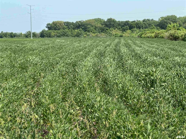 $1,291,500 | 0 Sandy Bend Road, Frederick, IL 62639