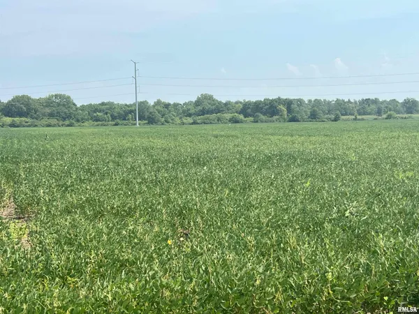 $1,291,500 | 0 Sandy Bend Road, Frederick, IL 62639