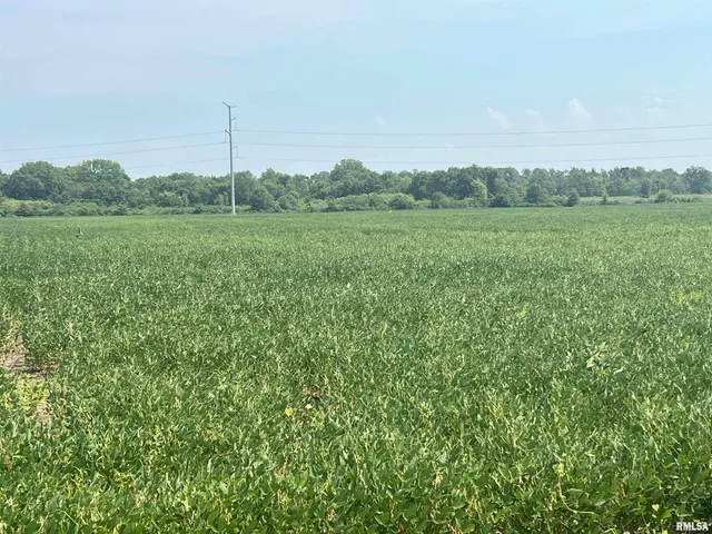 $1,291,500 | 0 Sandy Bend Road, Frederick, IL 62639