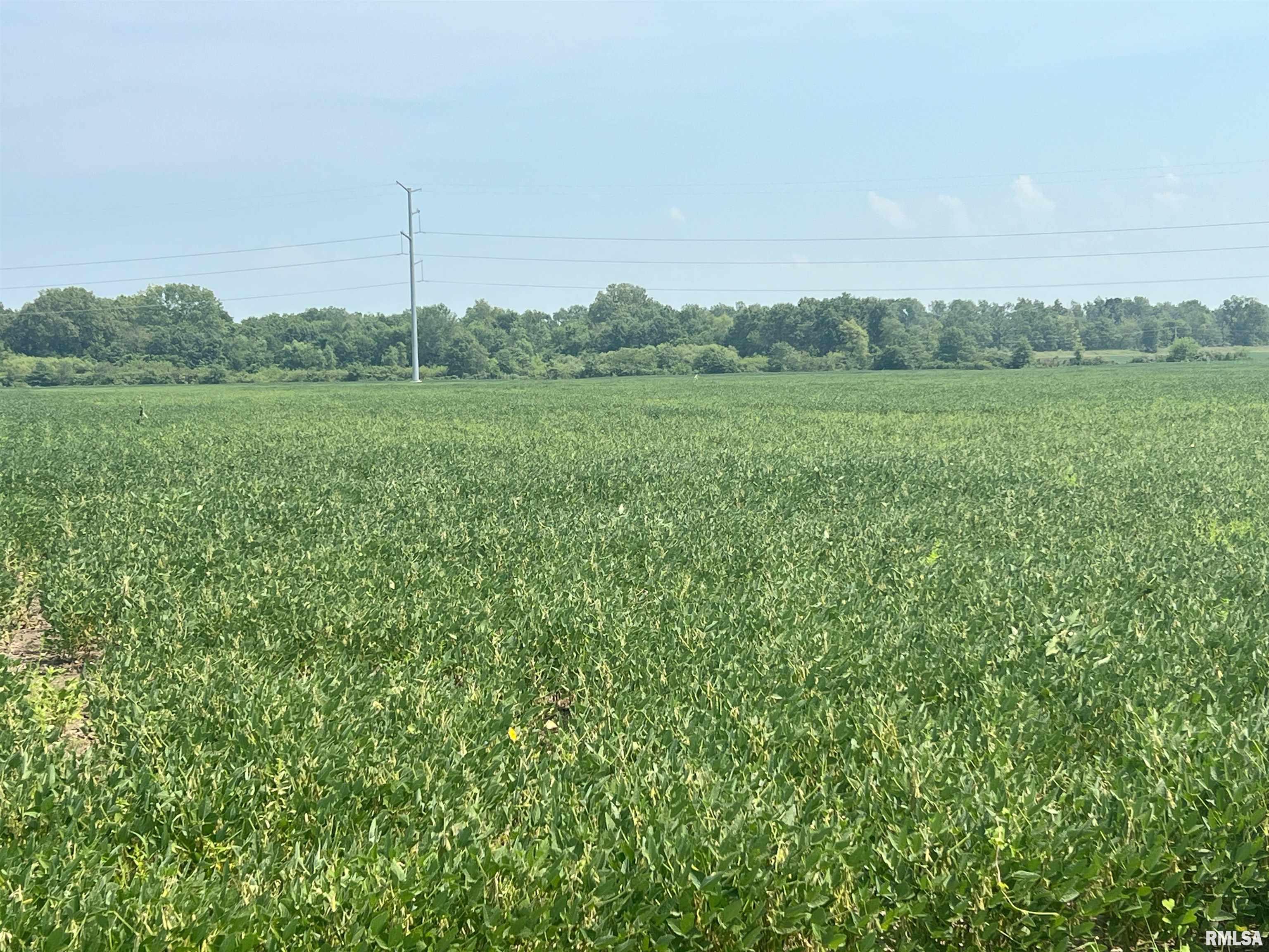 0 Sandy Bend Road Frederick, IL 62639 - Photo 5 of 12