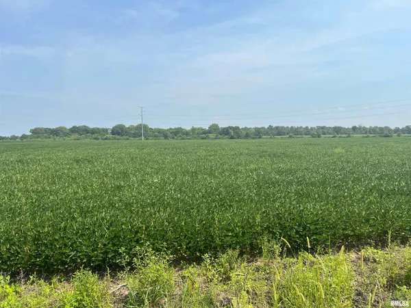 $1,291,500 | 0 Sandy Bend Road, Frederick, IL 62639