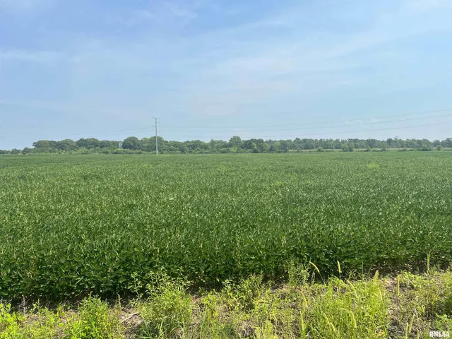 $1,291,500 | 0 Sandy Bend Road, Frederick, IL 62639