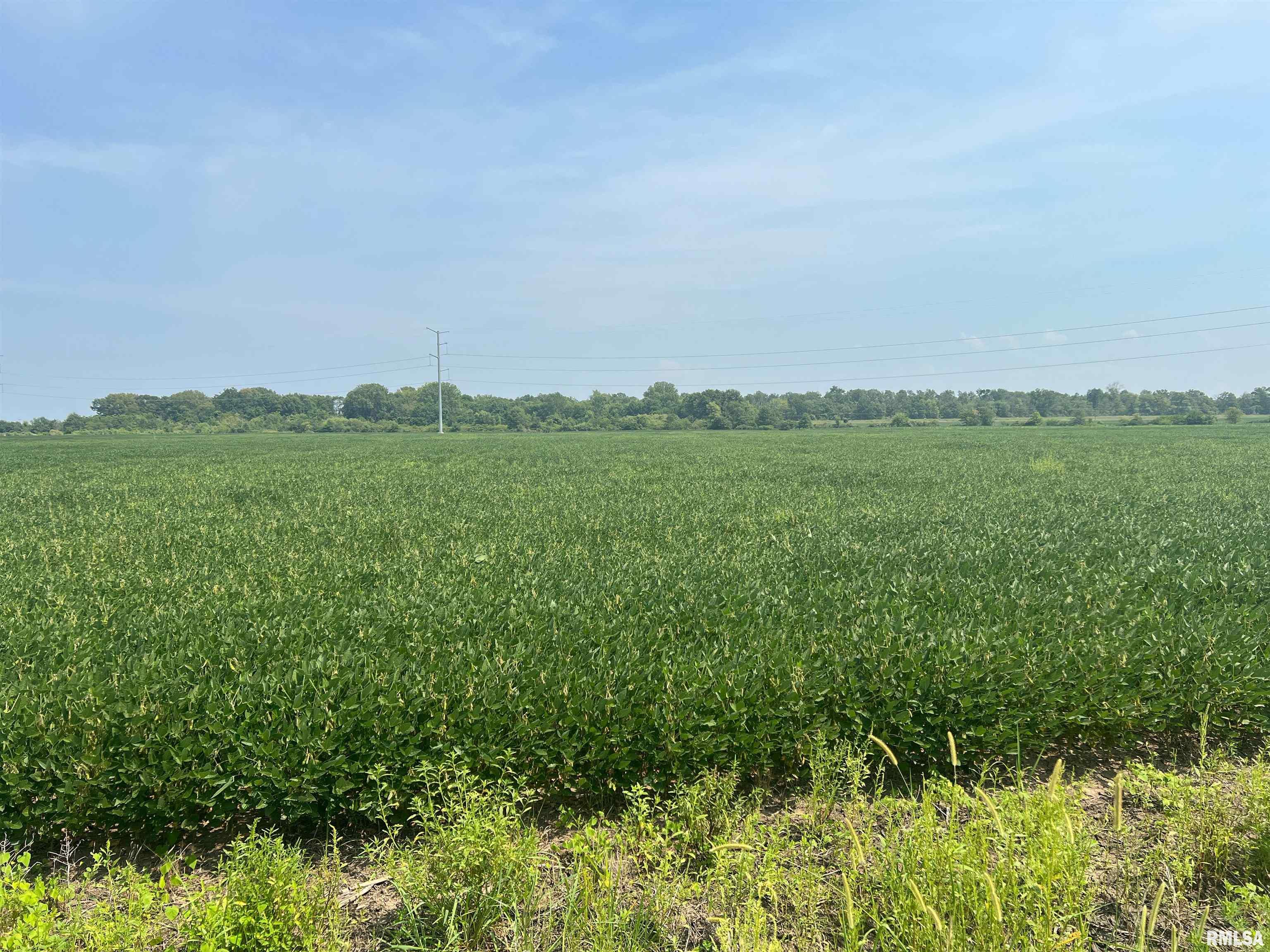 0 Sandy Bend Road Frederick, IL 62639 - Photo 6 of 12