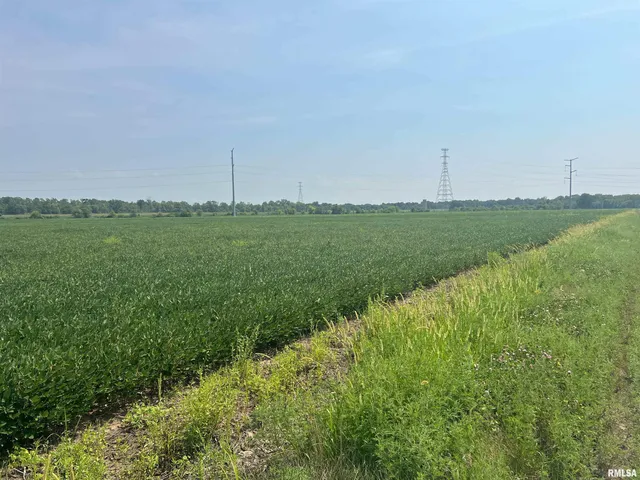 $1,291,500 | 0 Sandy Bend Road, Frederick, IL 62639