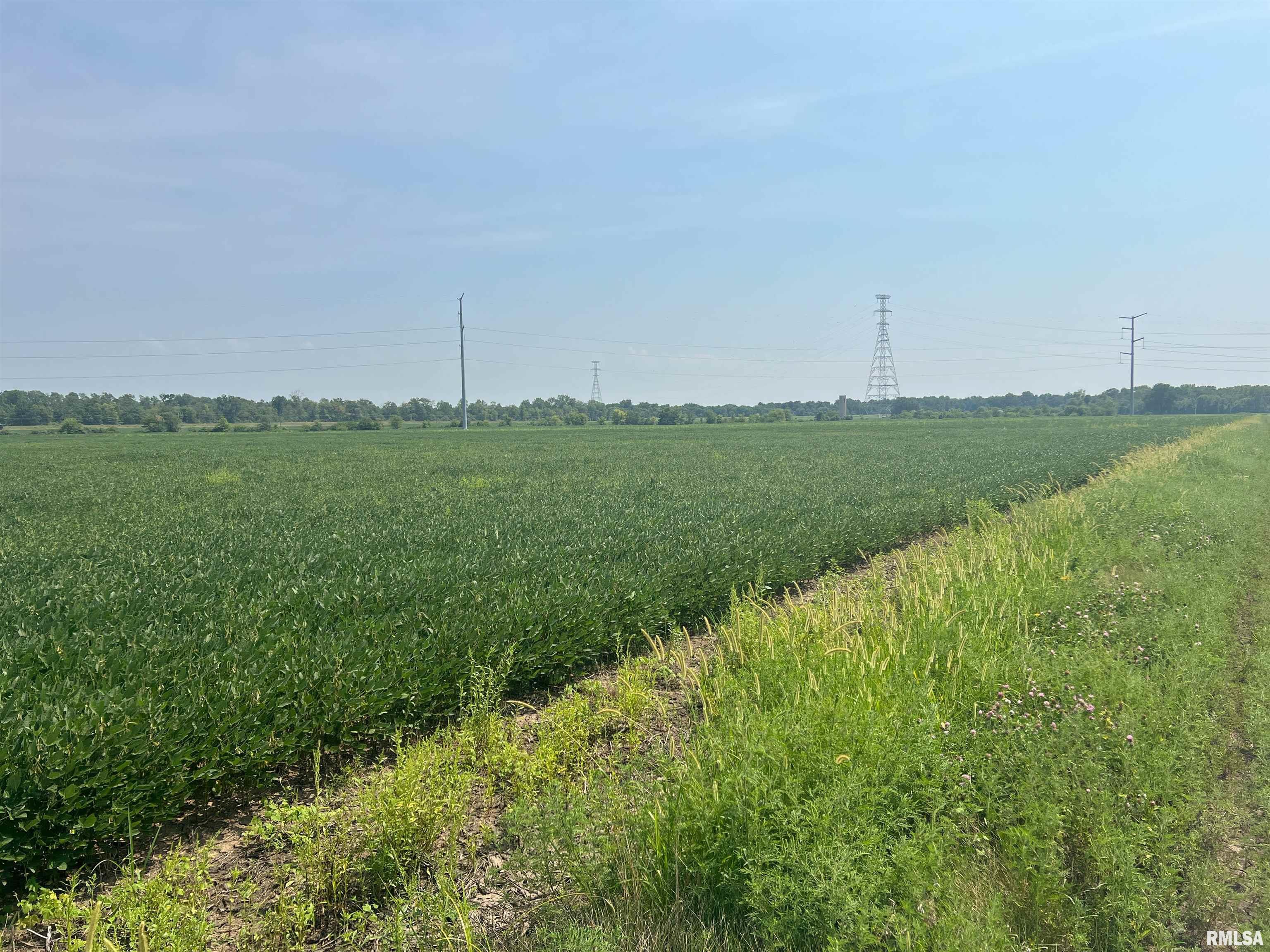 0 Sandy Bend Road Frederick, IL 62639 - Photo 7 of 12