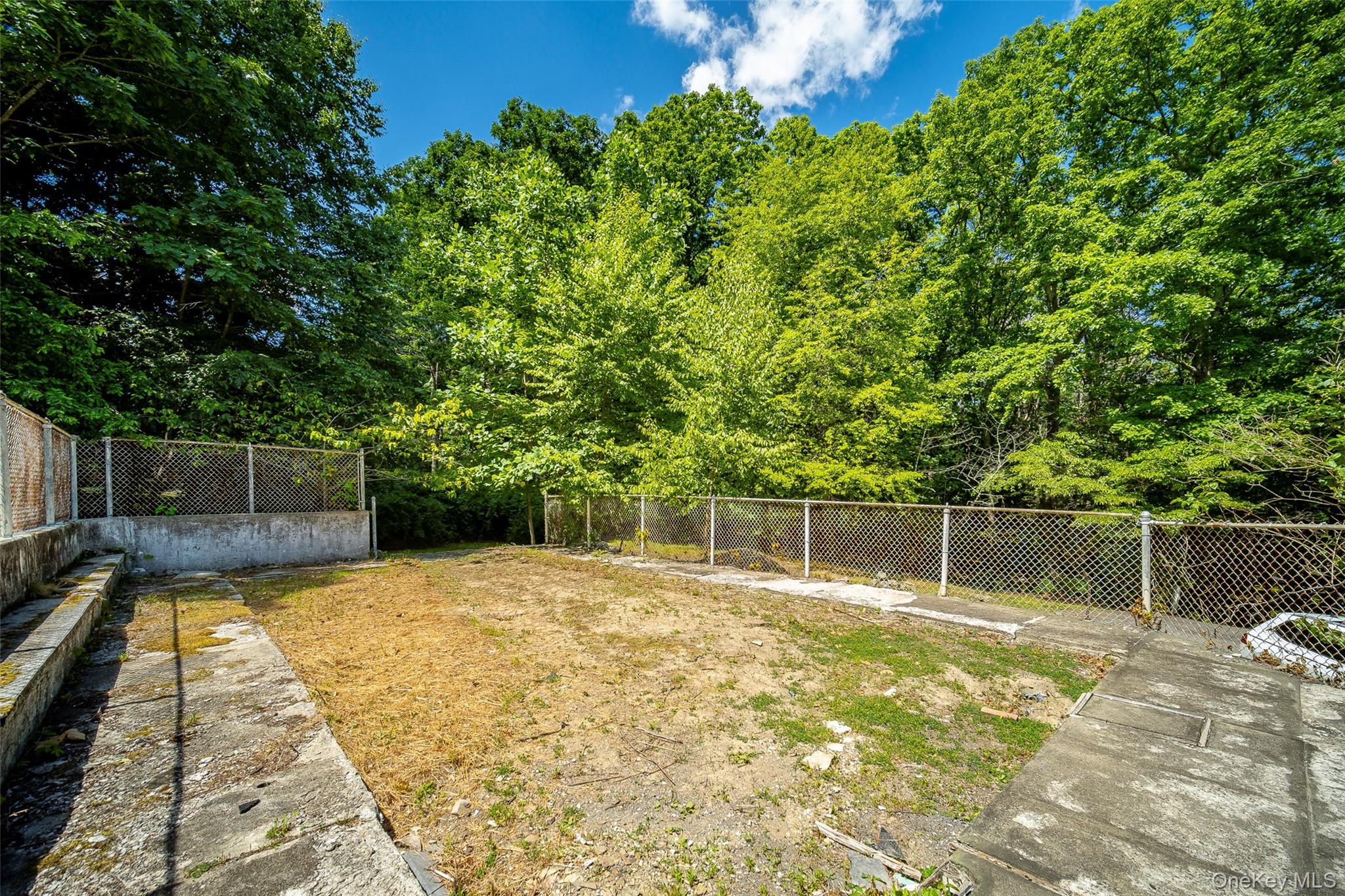 219 Benedict Road Montgomery, NY 12549 - Photo 44 of 50 a swimming pool with trees in the background