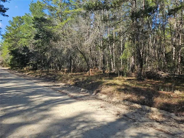 a view of dirt yard with green space