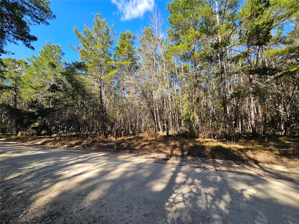 Tbd Southeast 8th Street Williston, FL 32696 - Photo 7 of 7 a view of street with trees