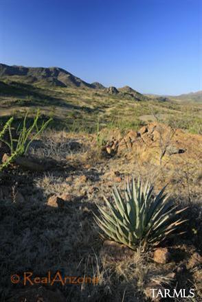 16 Shadow Crest Rio Rico, AZ 85648 - Photo 9 of 12
