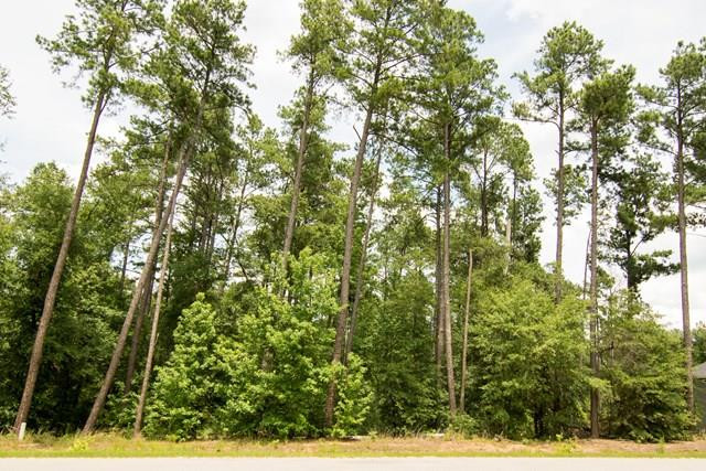 106 Ridge Pointe Drive Waynesboro, GA 30830 - Photo 1 of 11 Main View