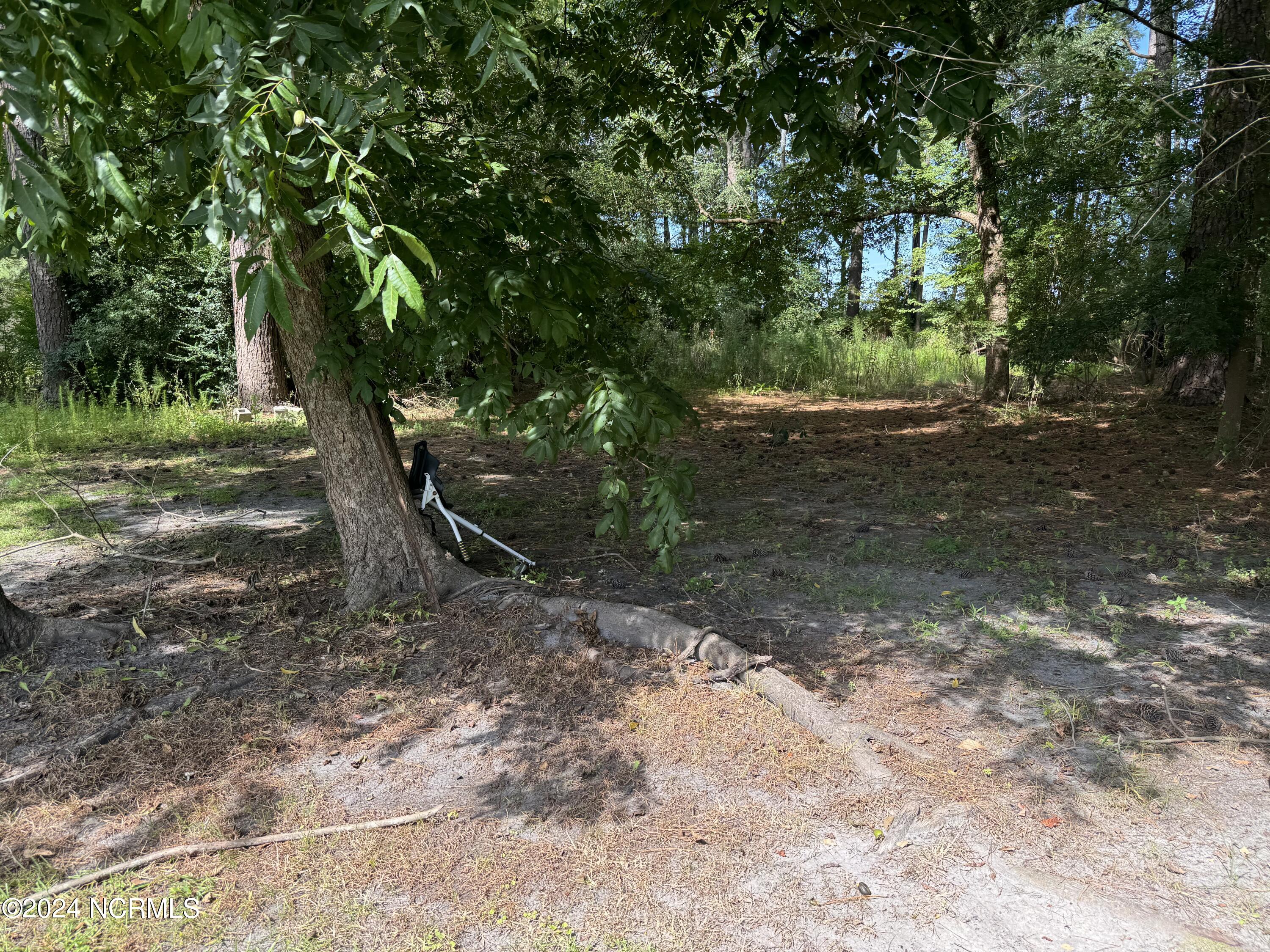 6748 Hassell Road Robersonville, NC 27871 - Photo 20 of 21 IMG_1135