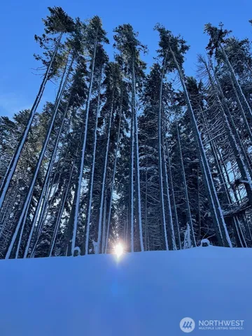 a backyard of a house with wooden floors and trees