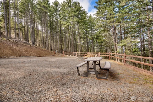 a view of dirt yard with large trees