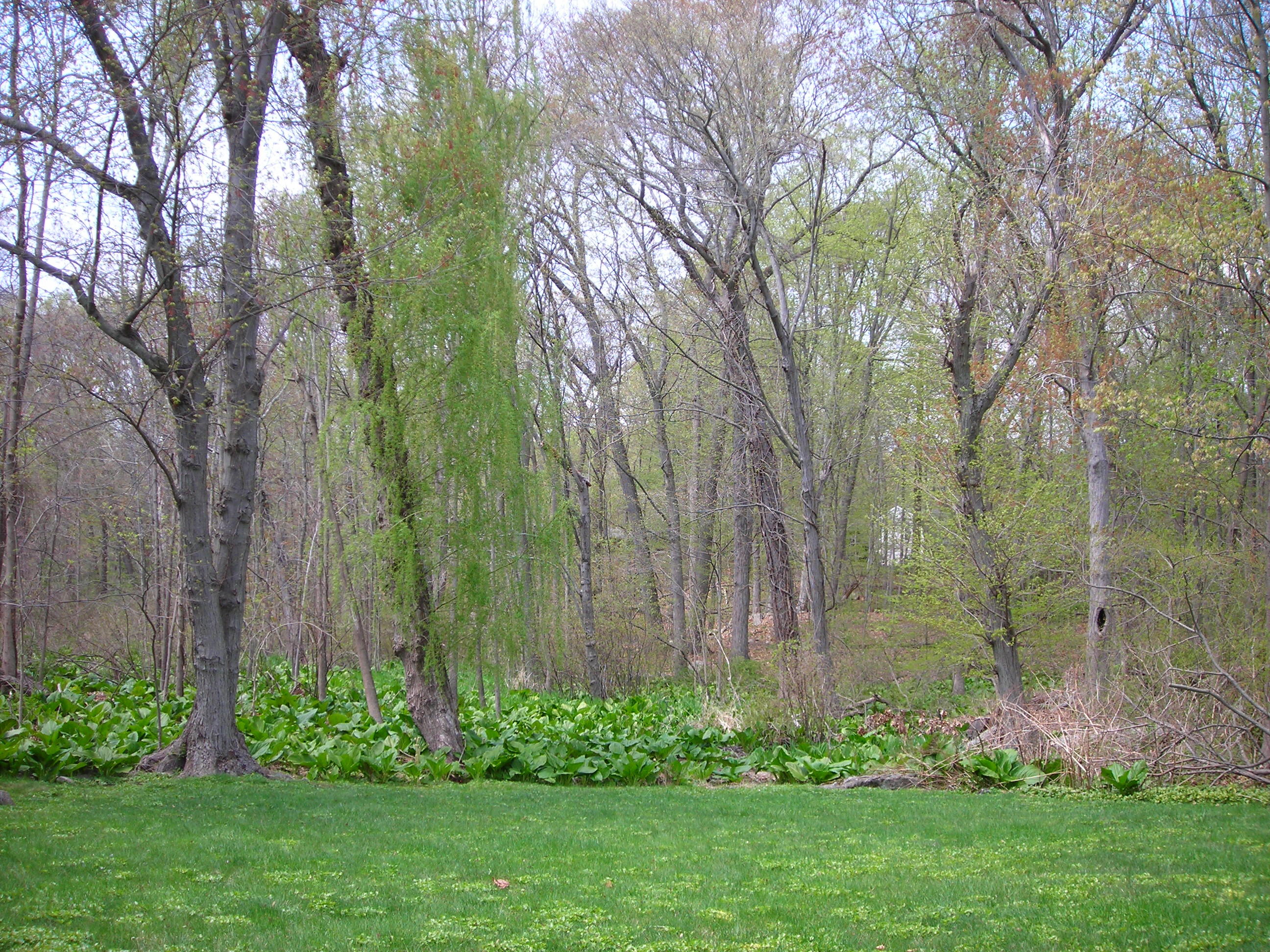 26 Devils Garden Road Norwalk, CT 06854 - Photo 4 of 15 DSCN1227