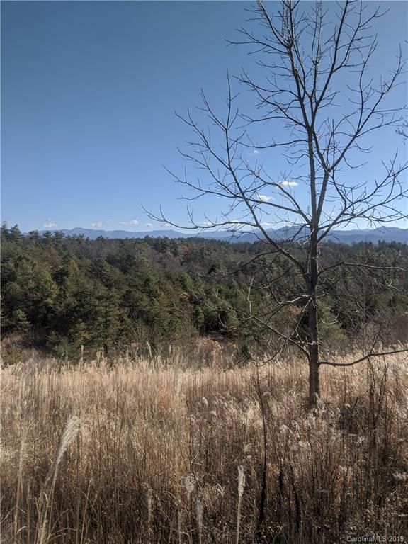 Tbd Bull Creek Road Marshall, NC 28753 - Photo 1 of 16 Gallery Image 1
