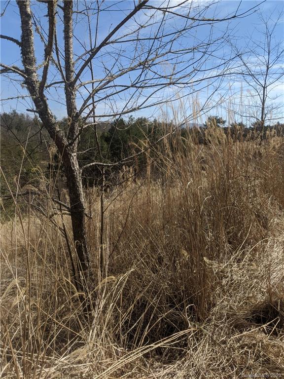 Tbd Bull Creek Road Marshall, NC 28753 - Photo 3 of 16 Gallery Image 3