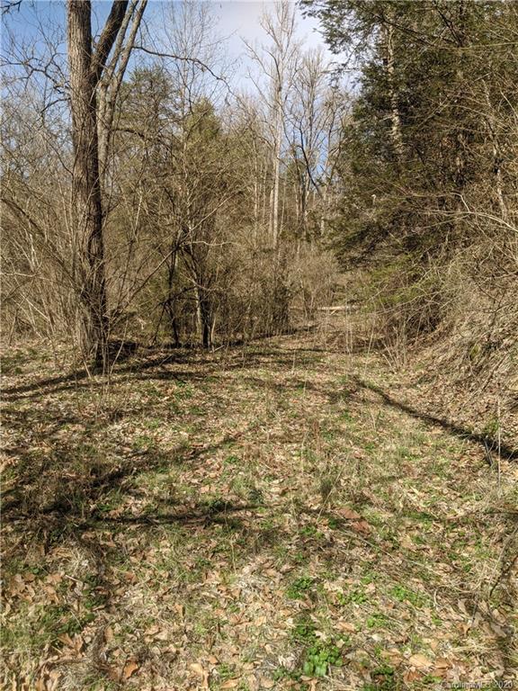 Tbd Bull Creek Road Marshall, NC 28753 - Photo 10 of 16 Gallery Image 10