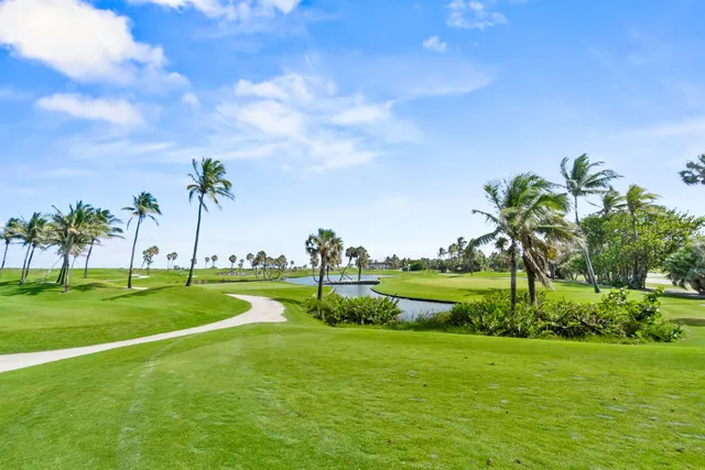 a view of a swimming pool with a yard and plants