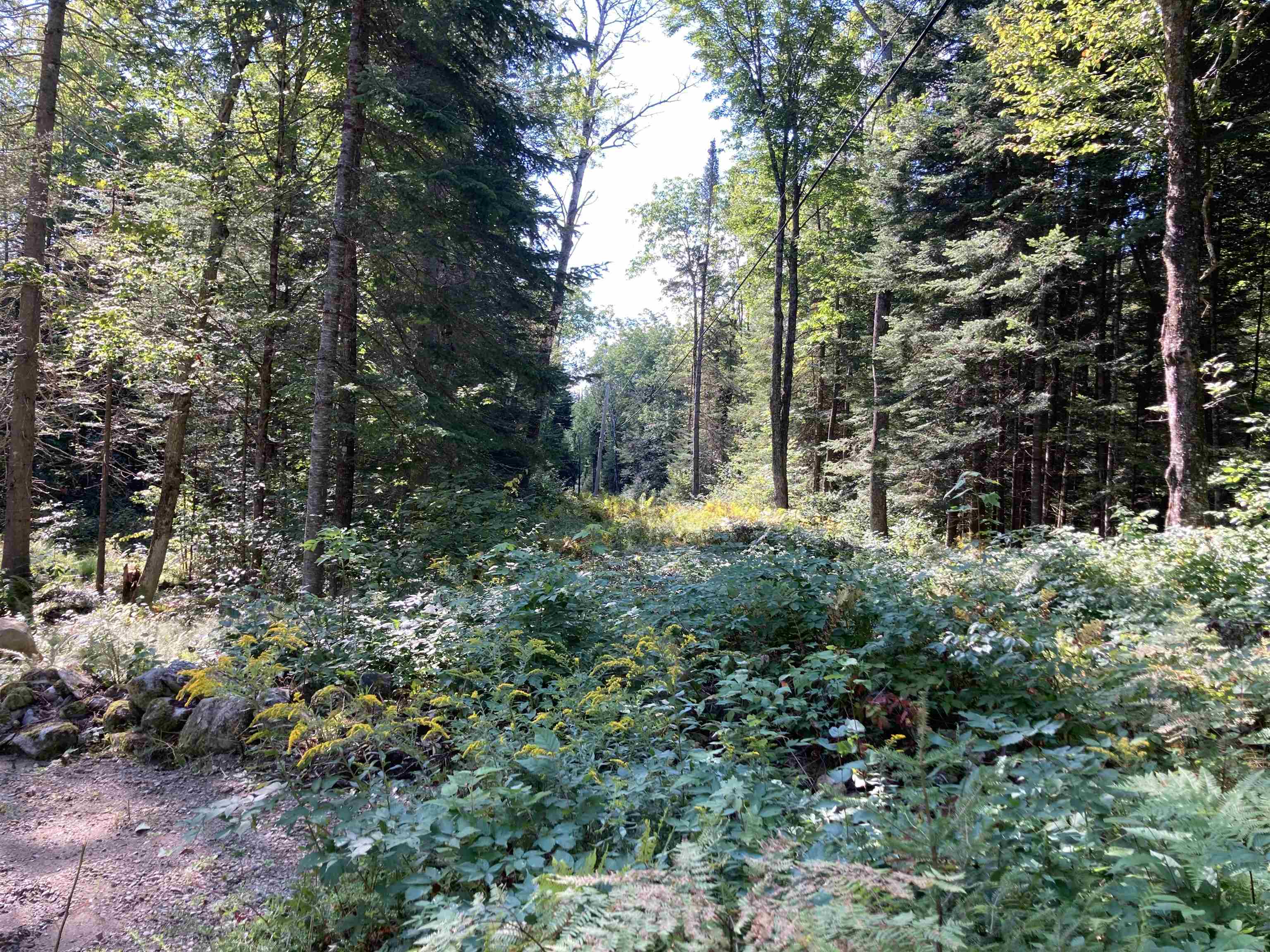 Lot 25 Westside Road Lunenburg, VT 05906 - Photo 13 of 15