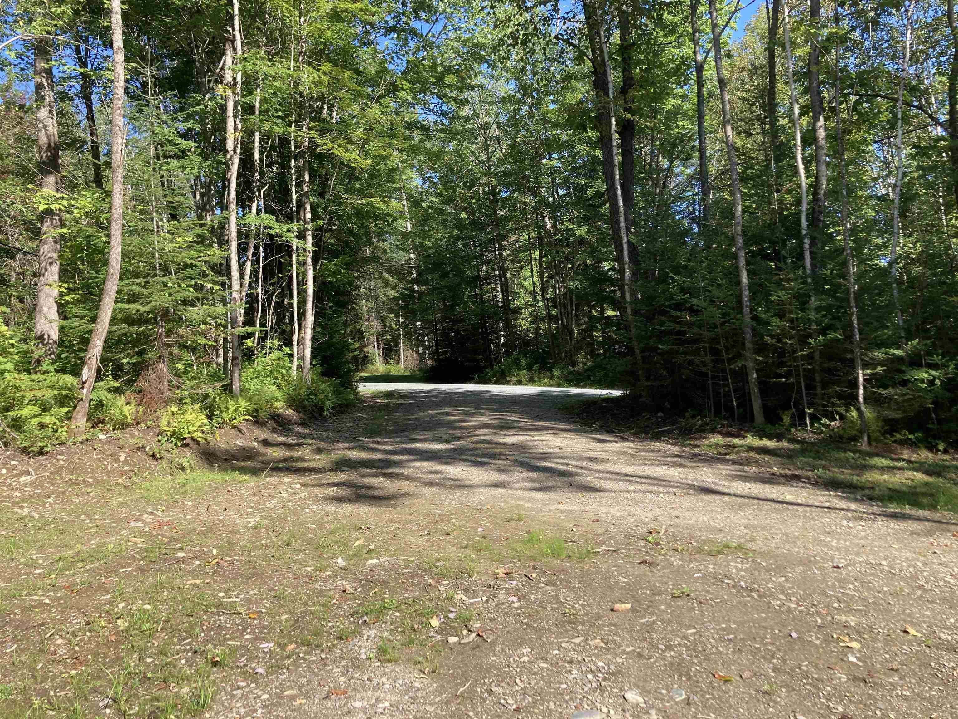 Lot 25 Westside Road Lunenburg, VT 05906 - Photo 9 of 15