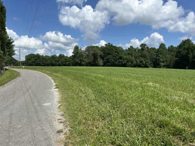 a view of an outdoor space and a yard