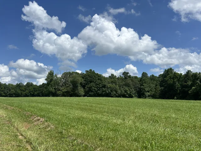 a view of a grassy field with trees around