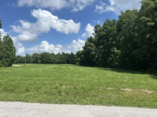 a view of grassy field with trees