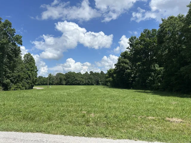 a view of a yard with plants and a small yard