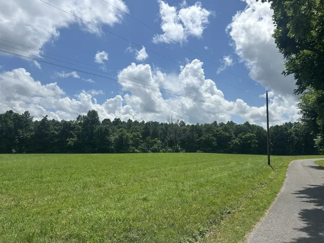 a view of an outdoor space and a yard