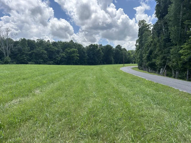 a view of a grassy field