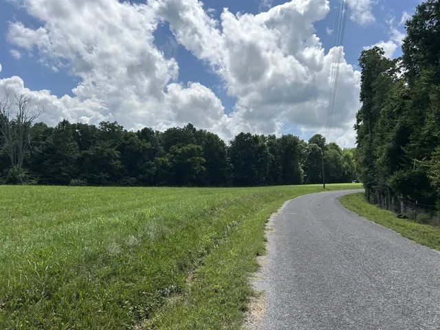 a view of a big yard with potted plants and large trees