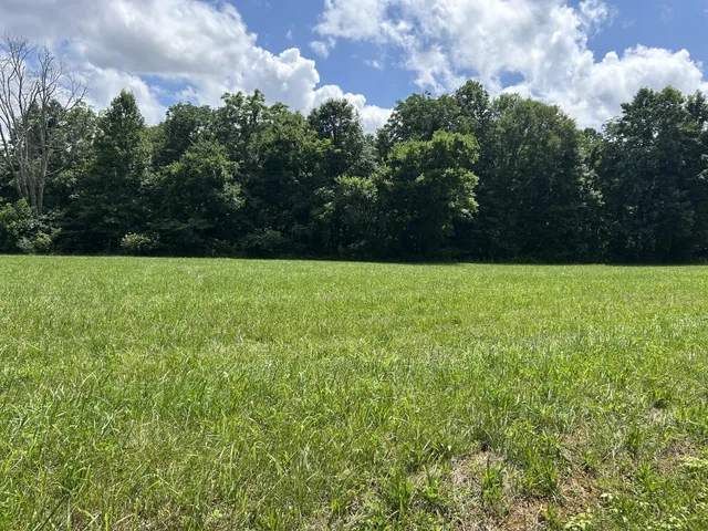a view of a lake with a big yard