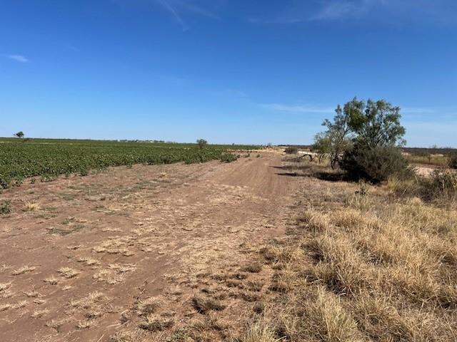 398 Bumpergate Road Abilene, TX 79603 - Photo 11 of 27 a view of lake with mountain