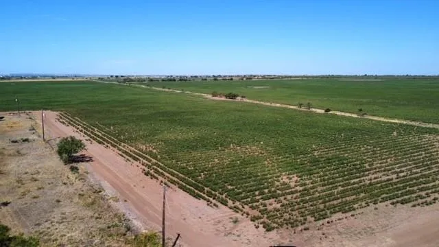 a view of a lake with a yard