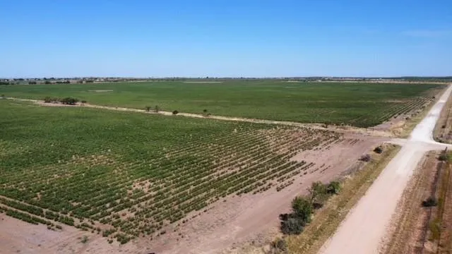 a view of an ocean and beach