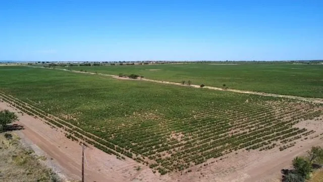 a view of a field with an ocean view