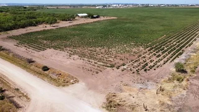 a view of a field with an ocean view