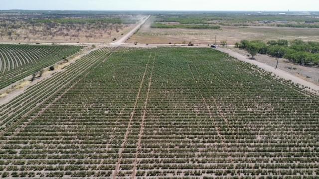 398 Bumpergate Road Abilene, TX 79603 - Photo 25 of 27 a view of a pathway both side of a lake view