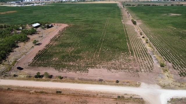398 Bumpergate Road Abilene, TX 79603 - Photo 27 of 27 a view of a garden from a terrace