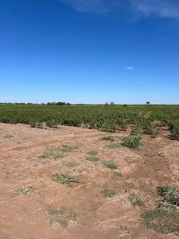 a view of lake and mountain