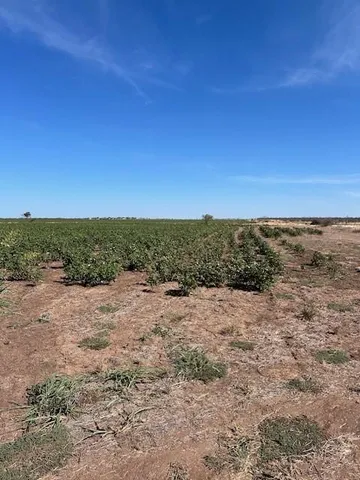 a view of an ocean beach