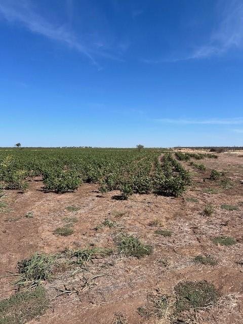 398 Bumpergate Road Abilene, TX 79603 - Photo 8 of 27 a view of an ocean beach