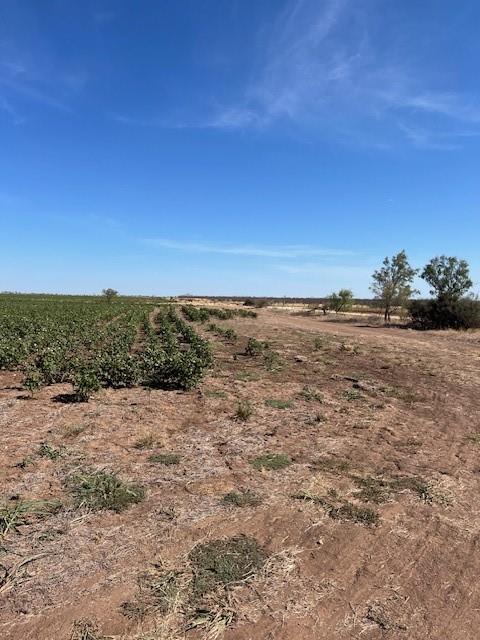 398 Bumpergate Road Abilene, TX 79603 - Photo 9 of 27 a view of ocean view with beach