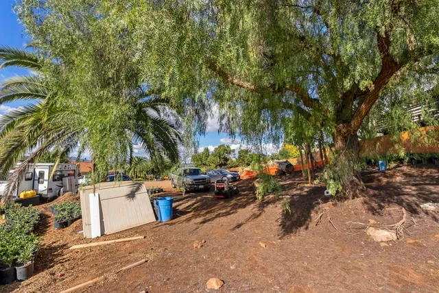 a view of a backyard