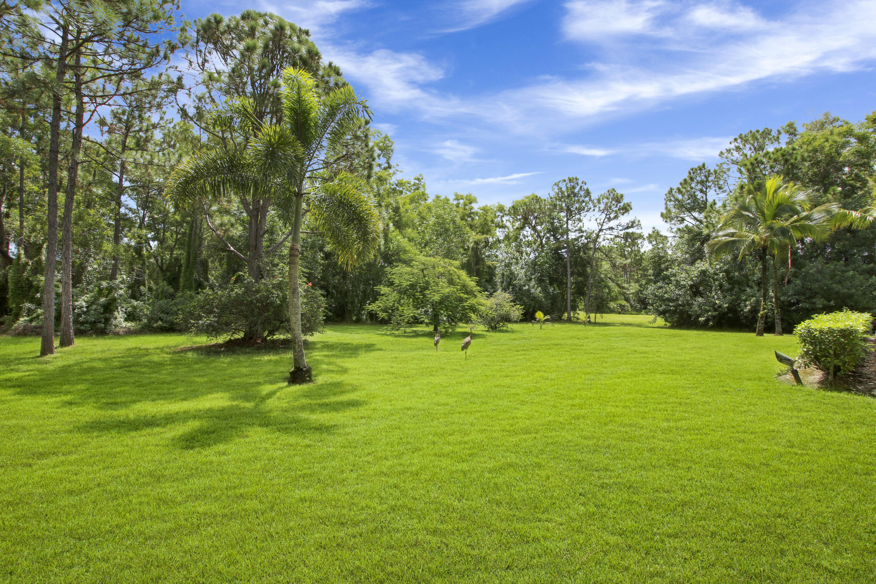 19051 Southeast Crosswinds Road Jupiter, FL 33478 - Photo 6 of 41 Manicured lawn