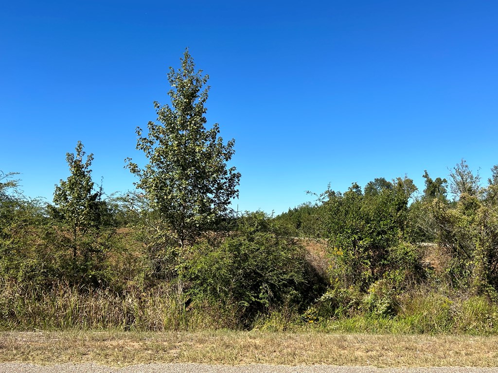 5-ac 5-ac Road Cottonwood, AL 36320 - Photo 8 of 23